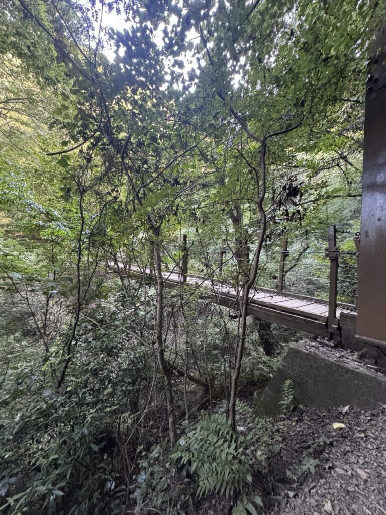 みやま橋を横から見た景観