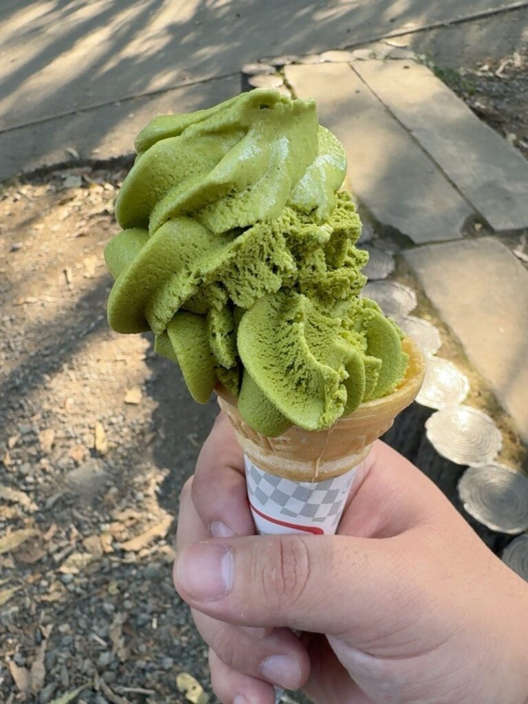 型崩れが激しめの宇治抹茶ソフトクリーム